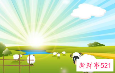 梦到大白羊是什么意思