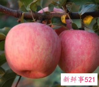 吃什么水果可以排除体内的毒素