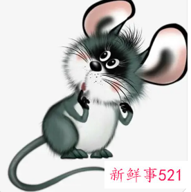 属鼠的女人佩戴什么招财