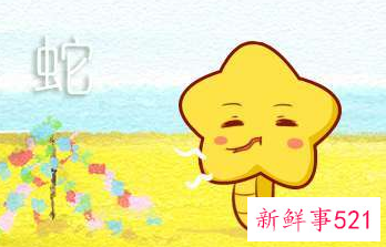 属猴与属蛇的婚配好不好