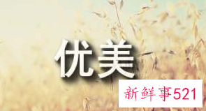 情感相处精辟句子