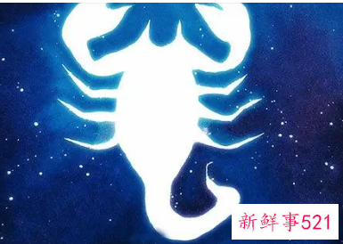 天蝎男的婚后生活