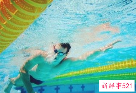 游泳的基本动作