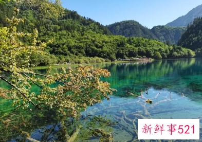 九寨沟国庆门票预定