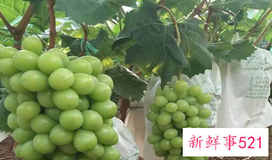 夏天去外面吃什么好