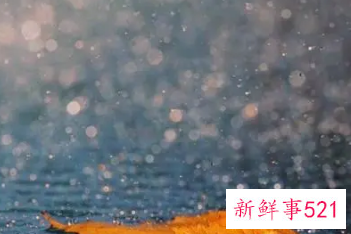 梦见和老婆一起避雨