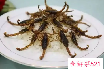 炸蝎子后面的毒针能不能吃