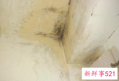墙角有一块一直是湿的