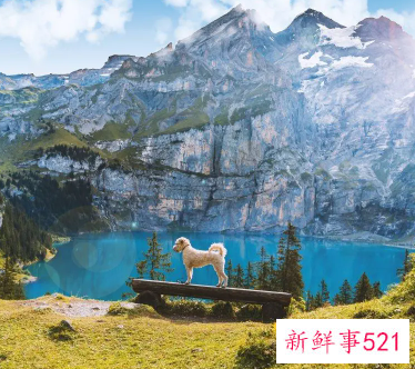 二个字的简单艺名搞笑