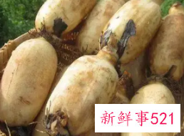 洗过的莲藕怎么保存才新鲜