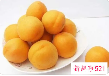 什么样的体质不能吃杏