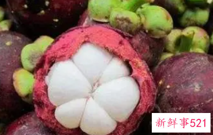 山竹的功效与作用食用禁忌