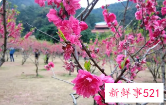 如何斩断自己的烂桃花