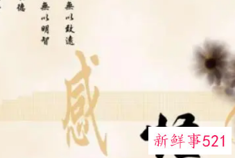 房产销售的工作感悟