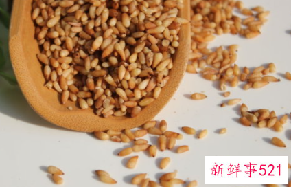 柏子仁的功效有哪些