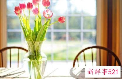 象征平淡幸福的网名