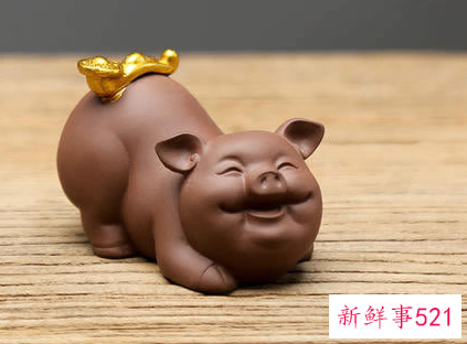 1983年属猪女人的财运