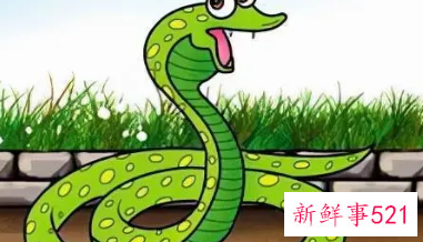 梦见蟒蛇是好是坏