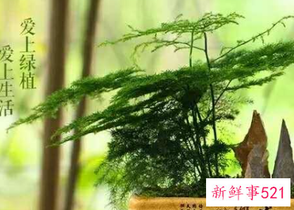 学生眼睛干涩有什么办法解决