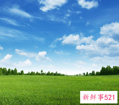 二个字的简单艺名搞笑