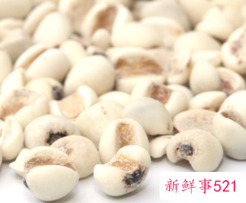 川贝母的作用与功效