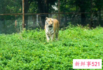 南山海边有休闲的地方吗