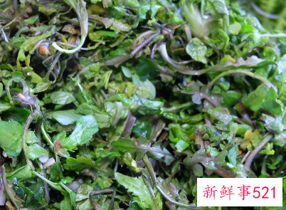 野生荠菜吃了有什么作用