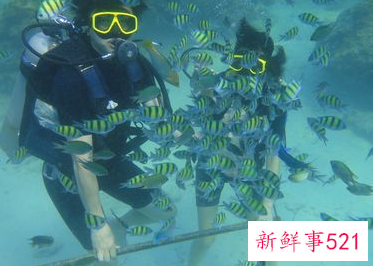 潜水有什么注意事项