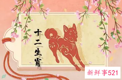 属狗感情还能复合