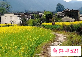 女人梦见自己的故乡