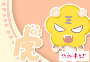 属虎穿啥颜色衣服旺财