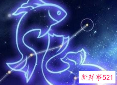 什么星座比较文静