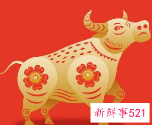 生肖牛的人适合买几楼