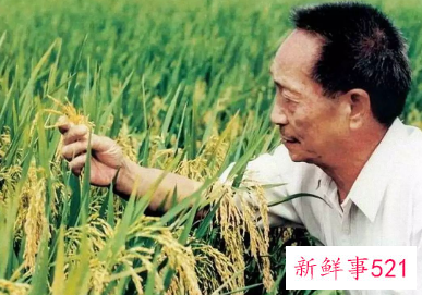 袁隆平险些进入游泳国家队