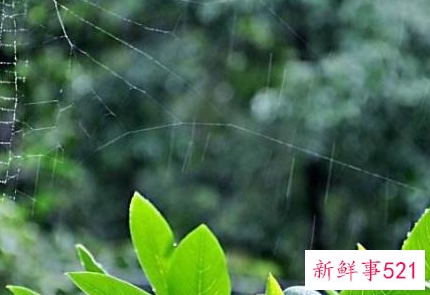 爱美之心人皆有之的意思