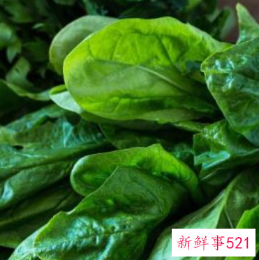 菠菜相克的食物