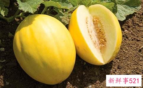 梦见摘熟甜瓜什么预兆