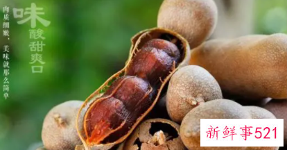 酸角的功效与作用