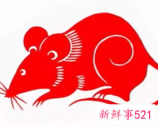 生肖鼠今年最大吉的婚配对象是谁