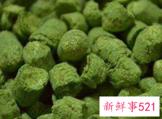 酒花浸膏对身体危害