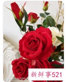 花比喻人的品质