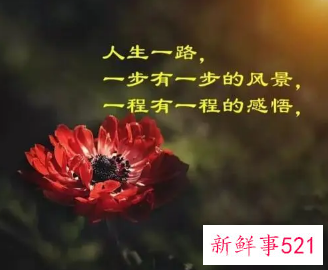 半生已过人生经典句子