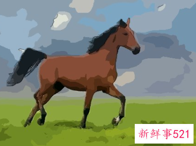 属马人和什么最相合相配