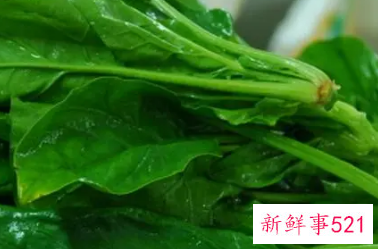 吃菠菜的危害