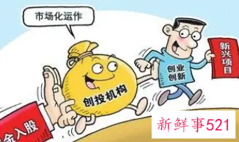 国家扶持的创业项目