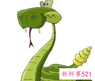 梦到一条大黑蛇