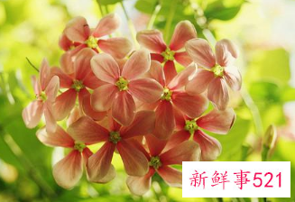 生活的经典短句