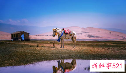 马的婚姻配属相最好