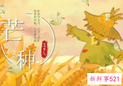 芒种主要有什么节日民俗