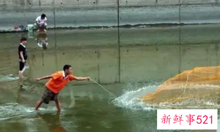 梦见捕鱼抓鱼捉鱼什么寓意